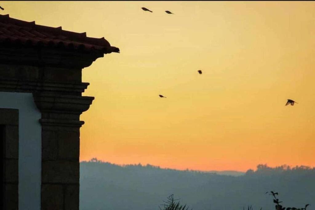 Apartment Regouro - An Hidden Gem In Douro Valley *