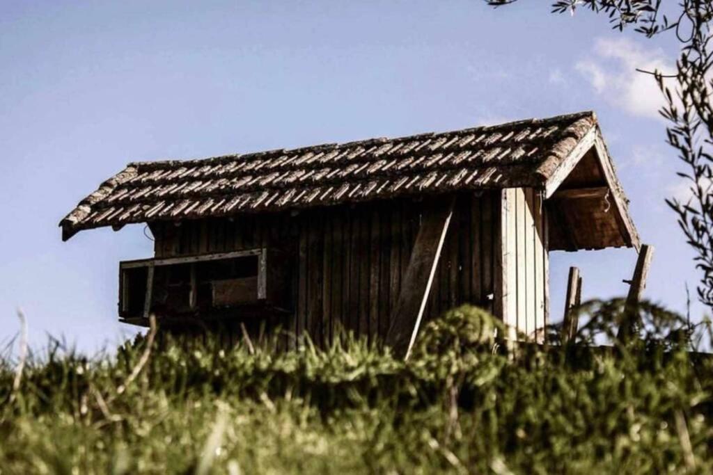 Regouro - An Hidden Gem In Douro Valley Apartment