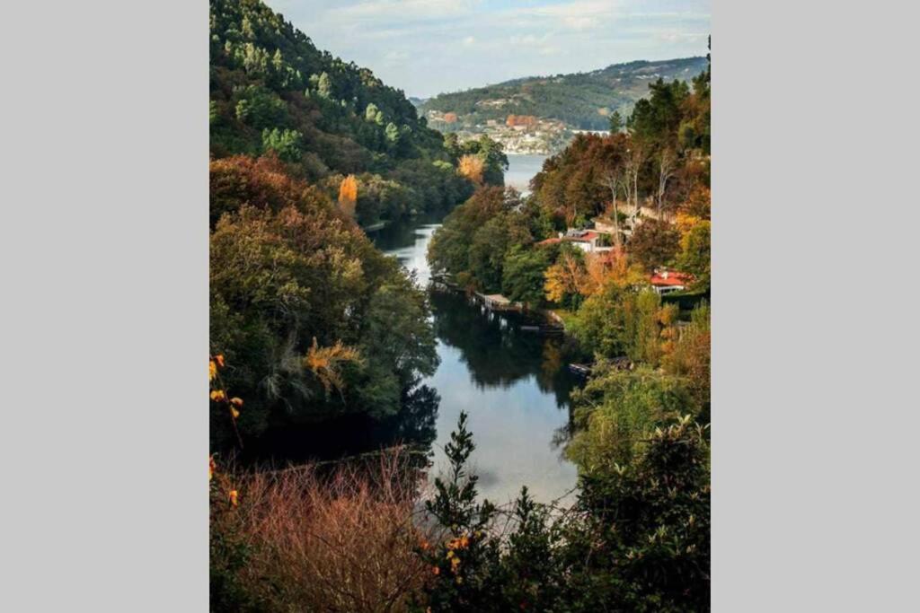 Regouro - An Hidden Gem In Douro Valley Apartment *