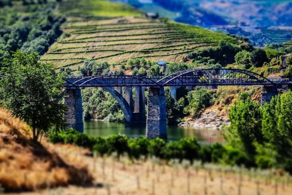 Regouro - An Hidden Gem In Douro Valley Apartment *