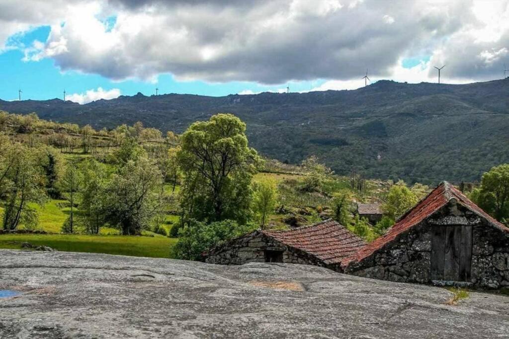 Regouro - An Hidden Gem In Douro Valley Apartment