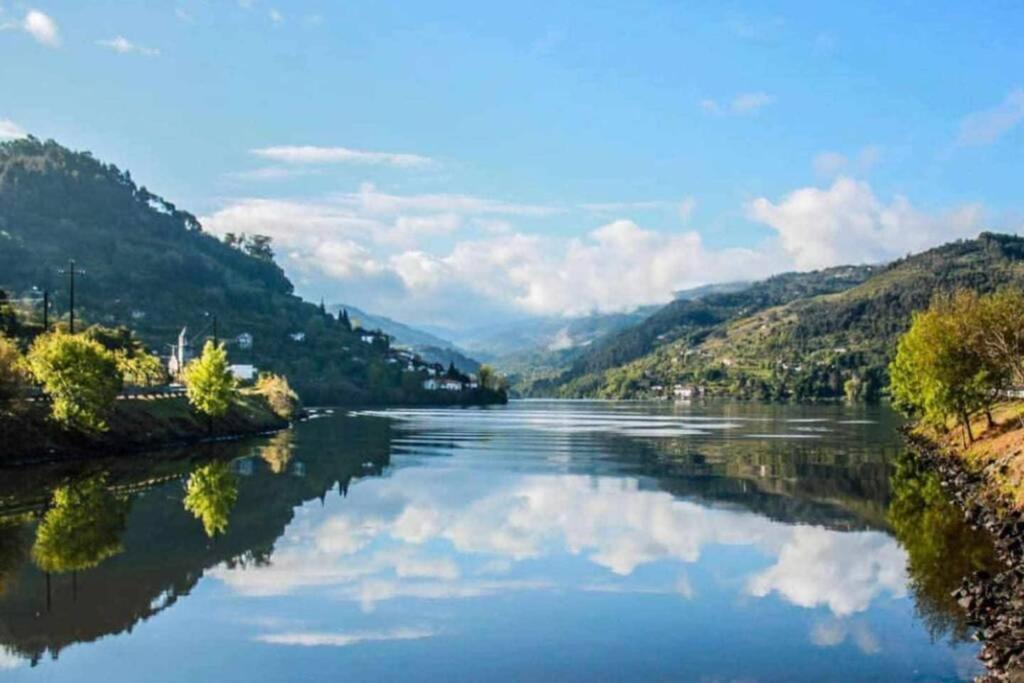 Regouro - An Hidden Gem In Douro Valley Apartment *